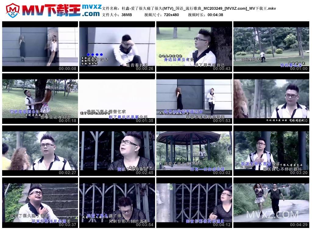 杜鑫-爱了很久痛了很久(MTV)_国语_流行歌曲_MC203249